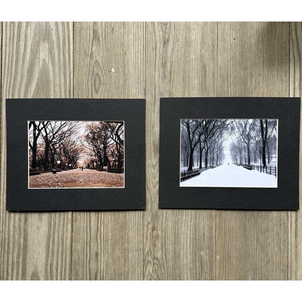 Vintage Central Park Photo Print Set Of 2 NYC Wall Art Dark Academia Decor